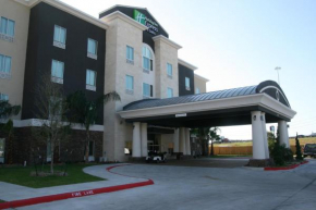 Holiday Inn Express & Suites Corpus Christi - North, an IHG Hotel